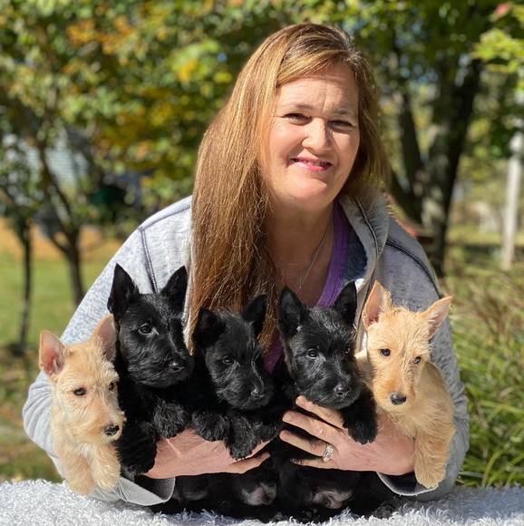 dogonescotties